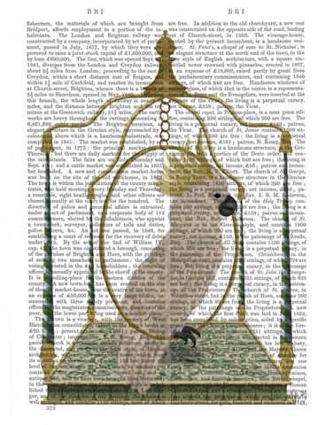 White Cockatoo on Swing