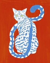 Complementary House Cat II