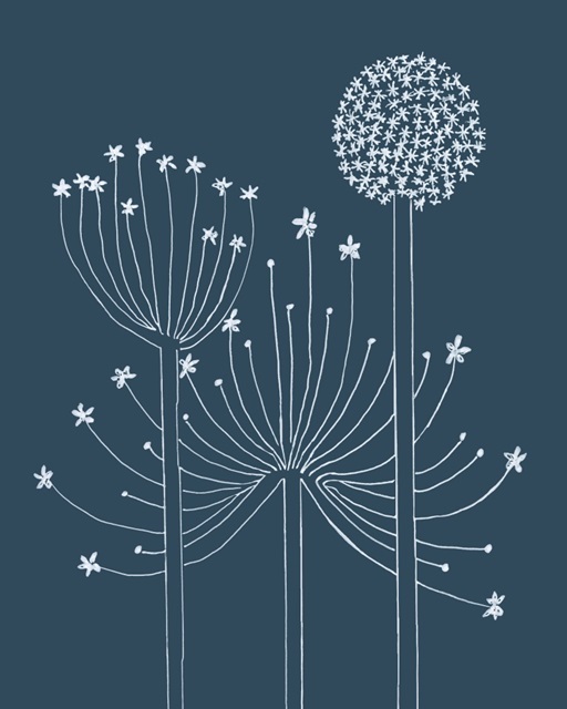 Graphic Alliums II