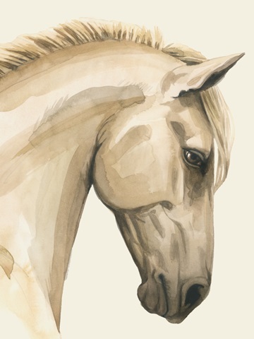 Golden Palomino I