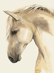 Golden Palomino II