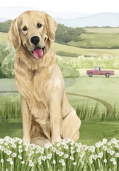 Flower Farm Collection B