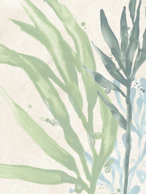 Swaying Seagrass IV