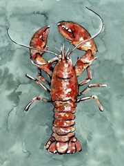 Aquatic Lobster I
