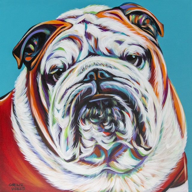 Colorful Bulldog