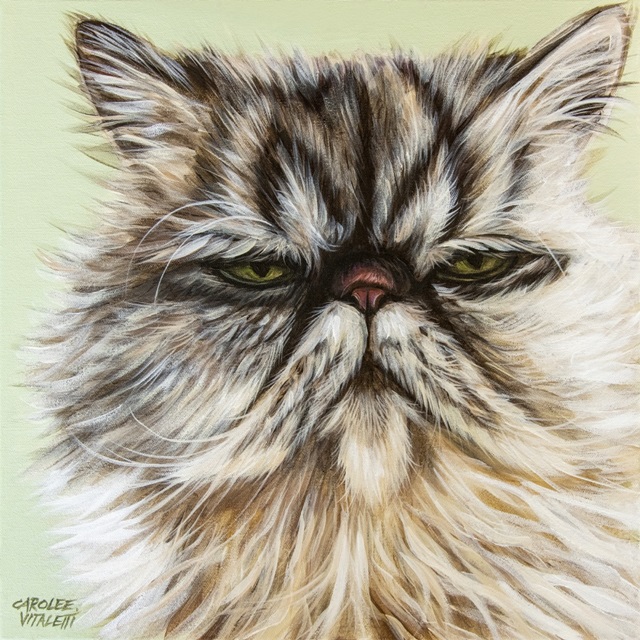 Persian Cat I