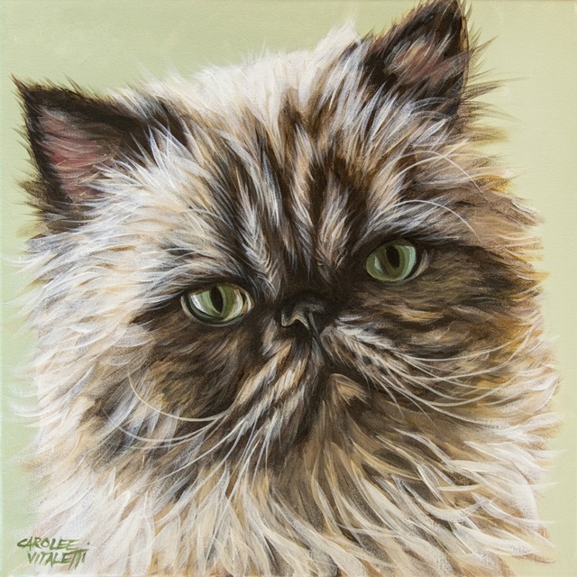 Persian Cat II
