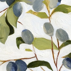 Olives on the Branch I