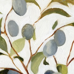 Olives on the Branch II