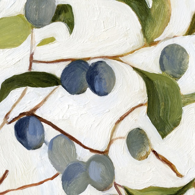 Olives on the Branch IV