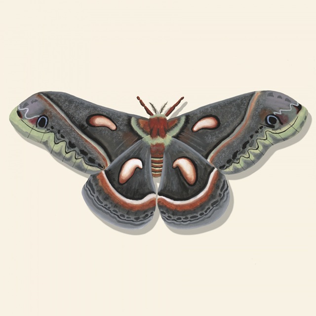 Watercolor Moths III