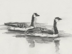 Geese Study I