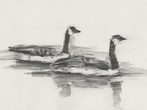 Geese Study I