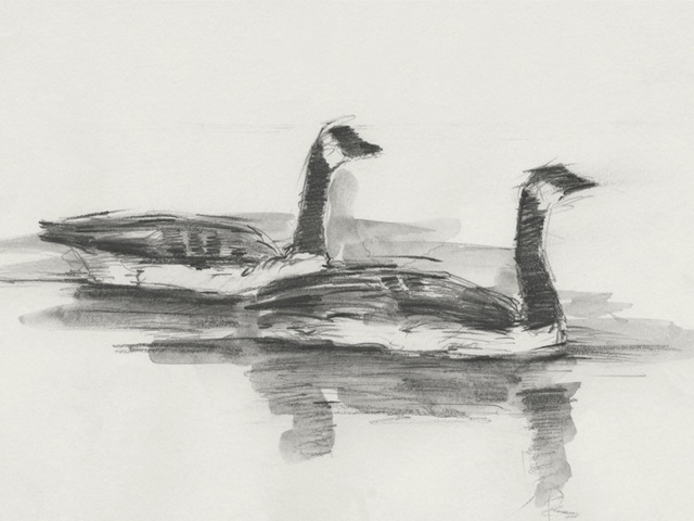 Geese Study I