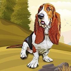 Bashful Basset