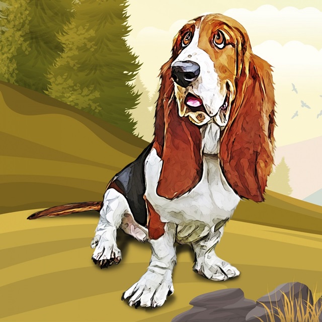 Bashful Basset