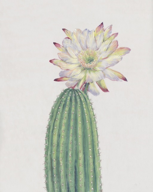 Cactus Blossom I