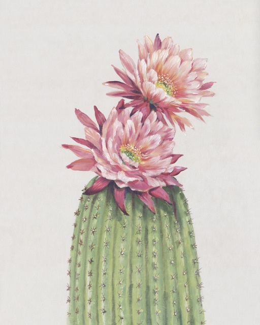 Cactus Blossom II