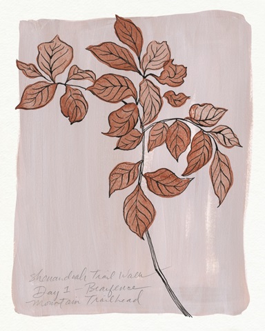 Trail Walk Journal I