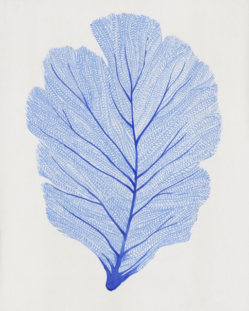 Indigo Sea Fan I