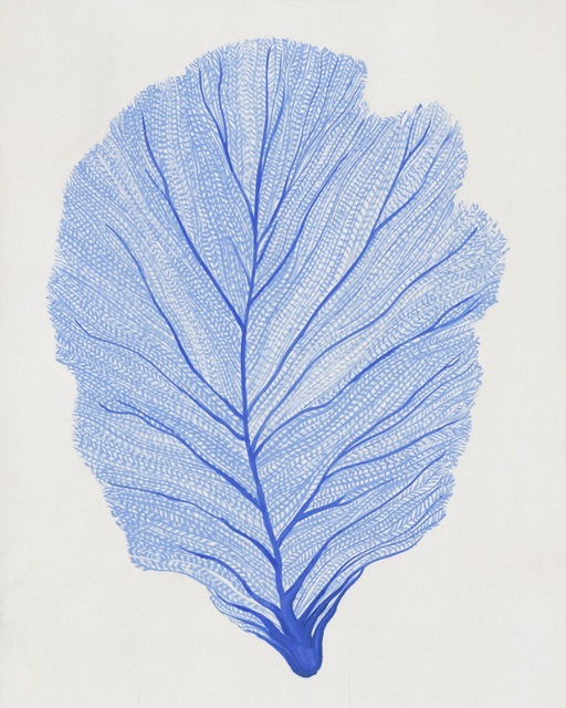 Indigo Sea Fan II