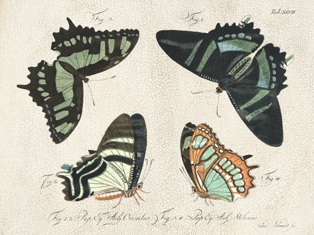 Printed Crackled Butterflies III