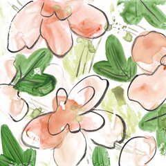 Peachy Flora IV