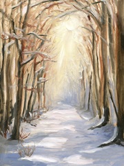 Path in Winter