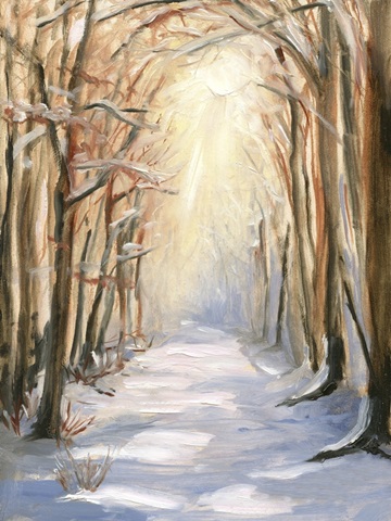 Path in Winter