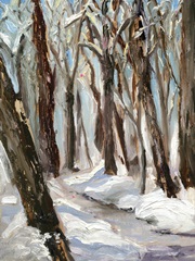 Woods in Winter