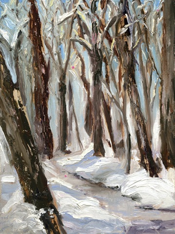 Woods in Winter