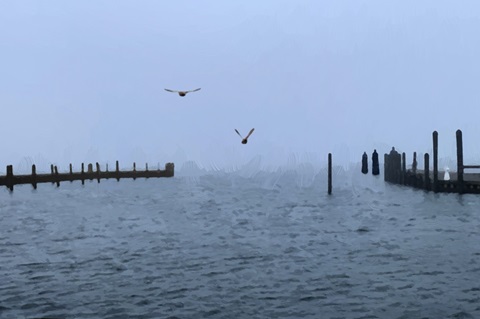 Pines Harbor Blue