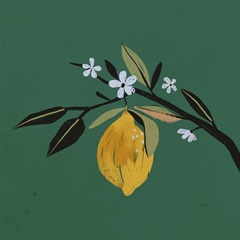 Lemon Blossom I
