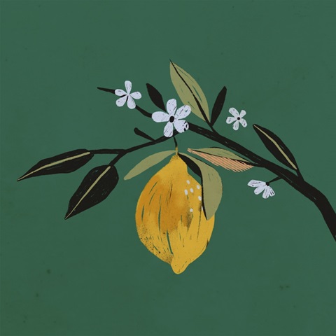 Lemon Blossom I