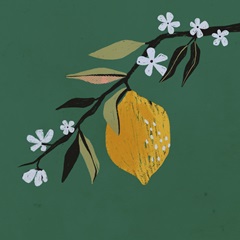 Lemon Blossom II