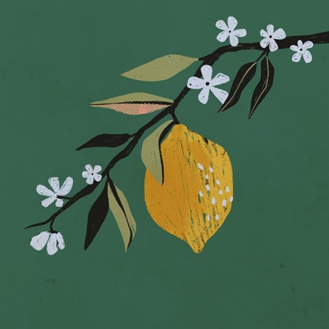 Lemon Blossom II
