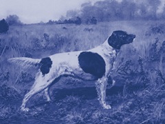 Antique Blue Dogs I