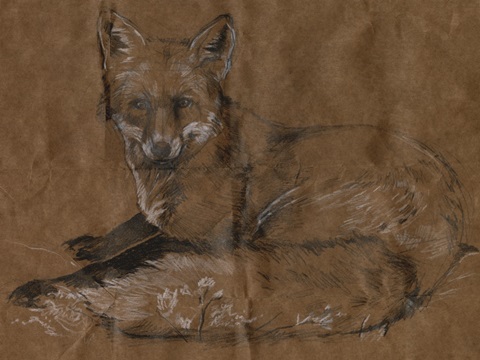 Crafty Fox II