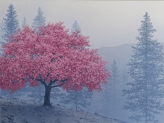 A Tree of a Different Color  I