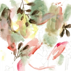 Early Morning Glory IV