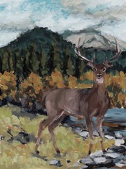 Stag in the Wild II