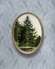 Woodland Fir Cameo I