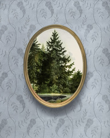 Woodland Fir Cameo I