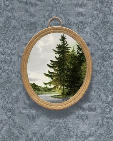 Woodland Fir Cameo II