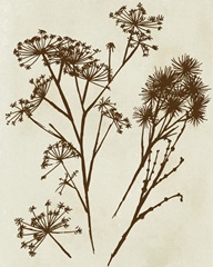 Spray Silhouettes II