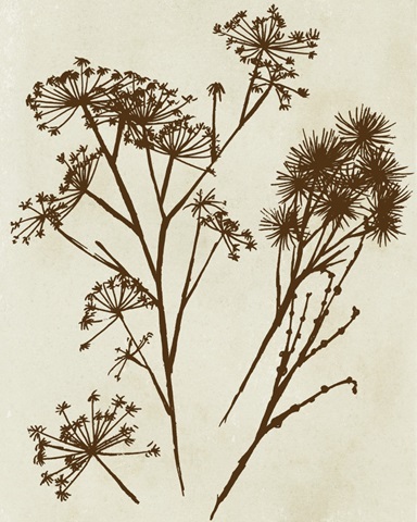 Spray Silhouettes II