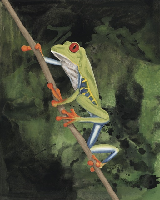 Watercolor Tree Frogs II
