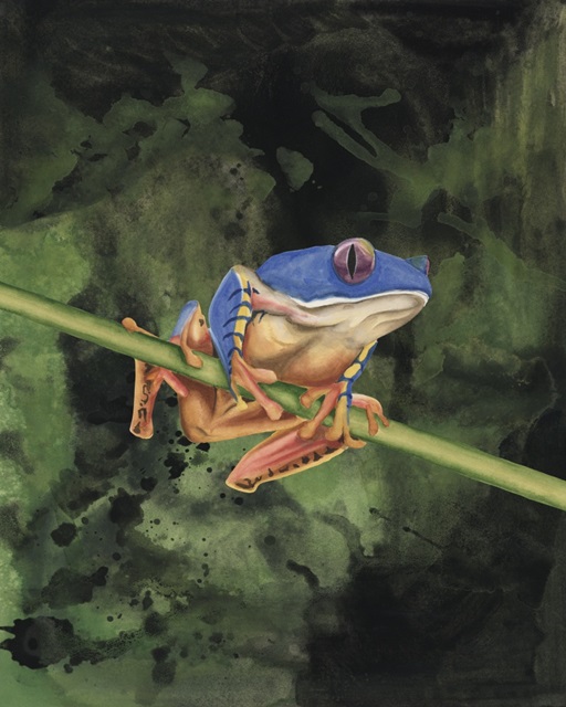 Watercolor Tree Frogs III