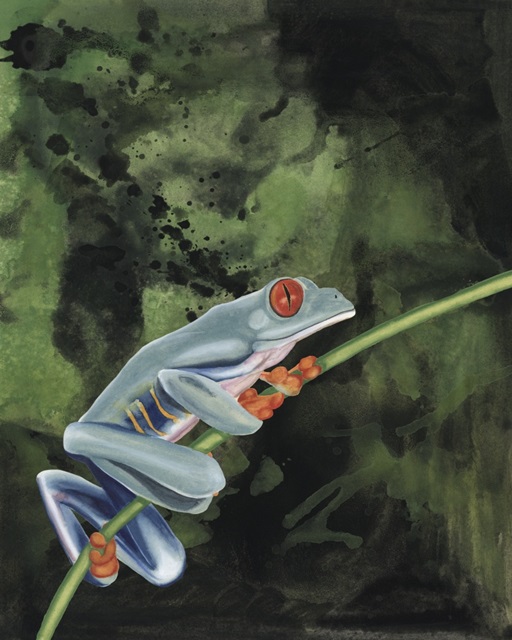 Watercolor Tree Frogs IV