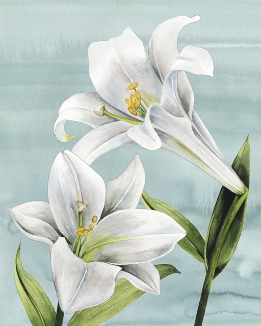 Peaceful Lilies I